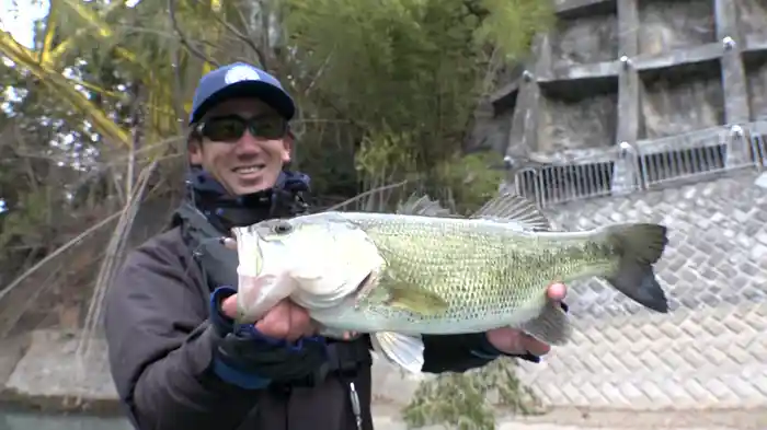 イトウタクミのなぜなぜくん 青木大介 川村光大郎