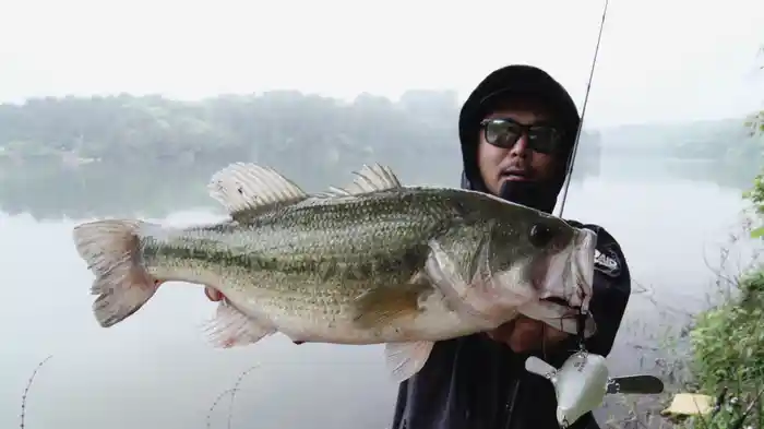 金森隆志 BIG SHOT7