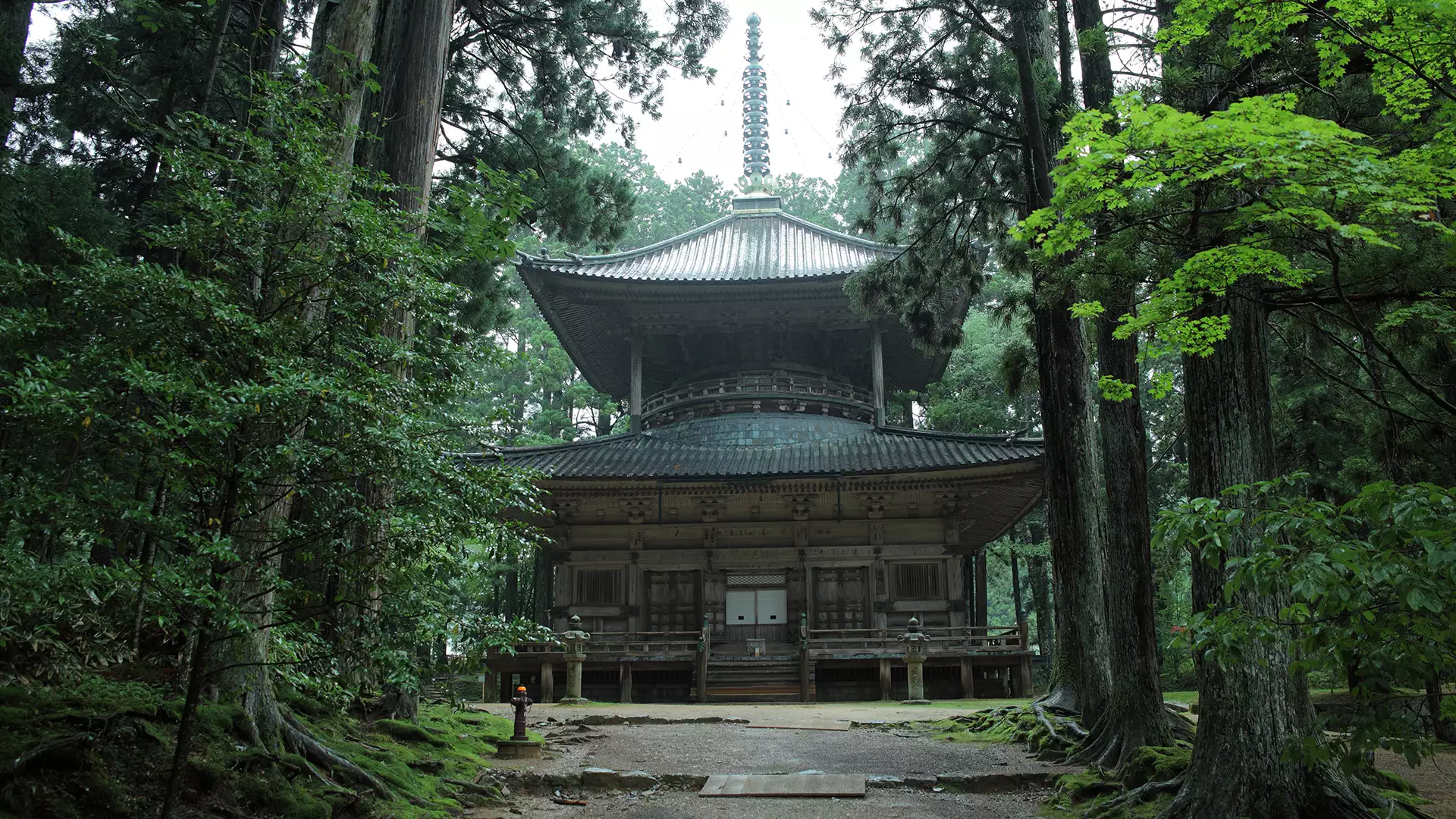 高野山開創千二百年 いのちを紡ぐ 空海 共生の思想(ドキュメンタリー