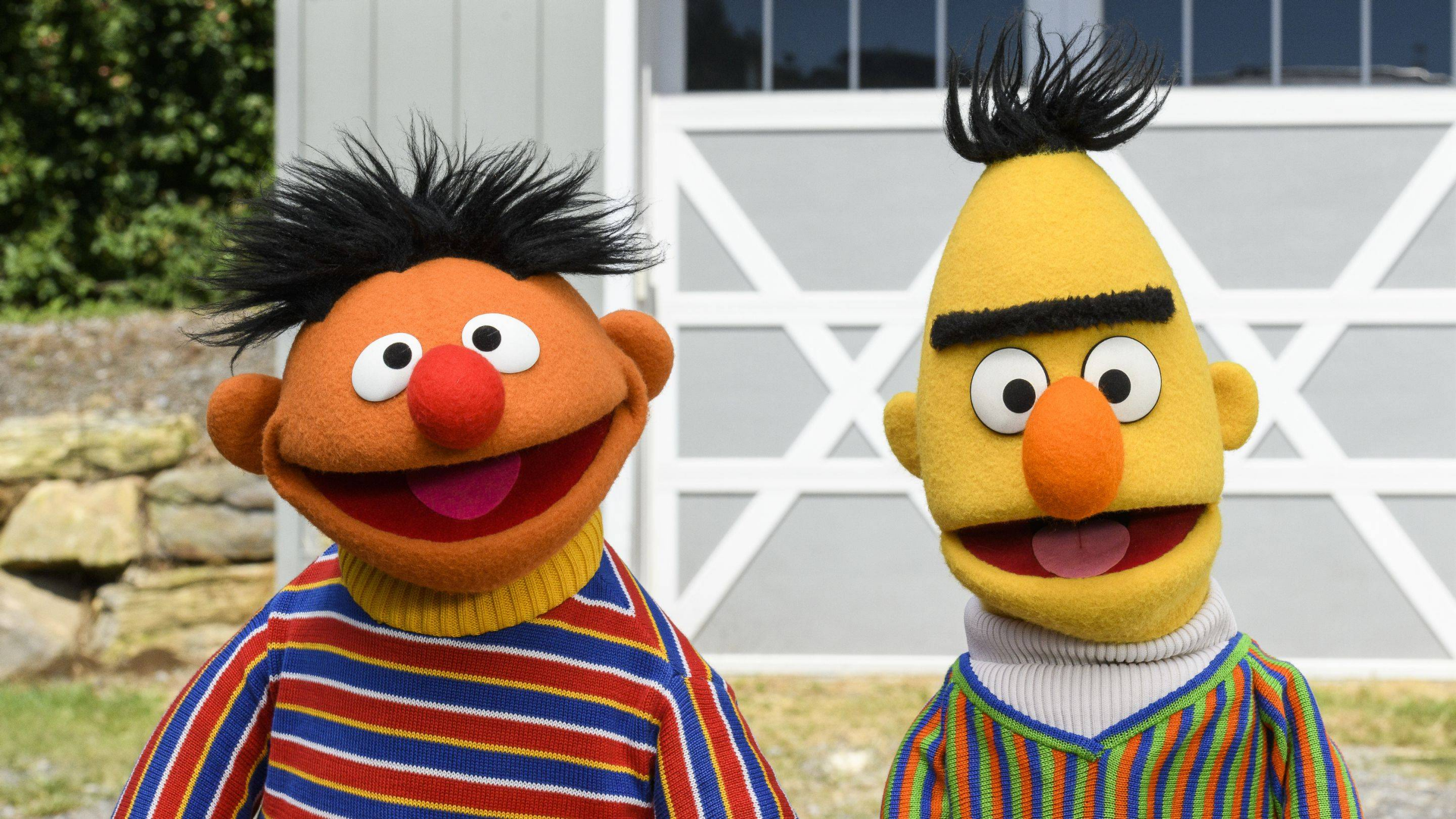 セサミストリート シーズン52