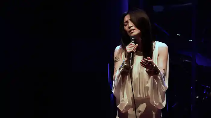 流星群 (Live at 中野サンプラザホール 2016.11.4)