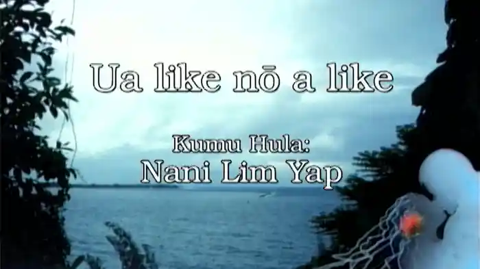 UA LIKE NO A LIKE