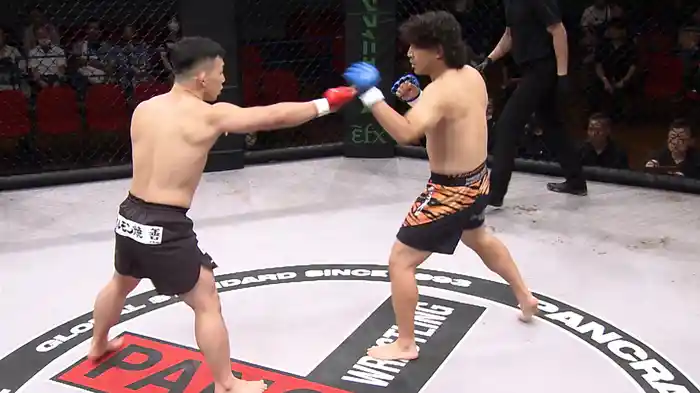 PANCRASE 336