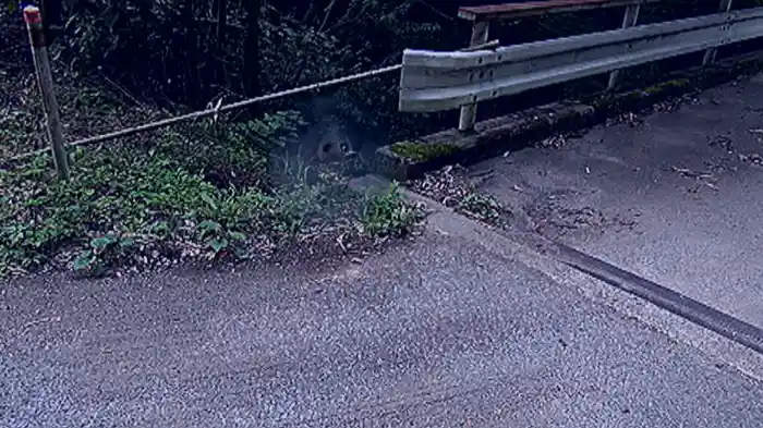 本当の心霊動画「呪」16