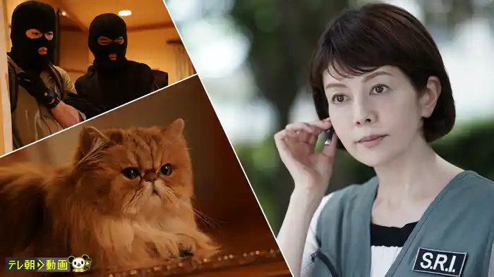 科捜研の女 season23