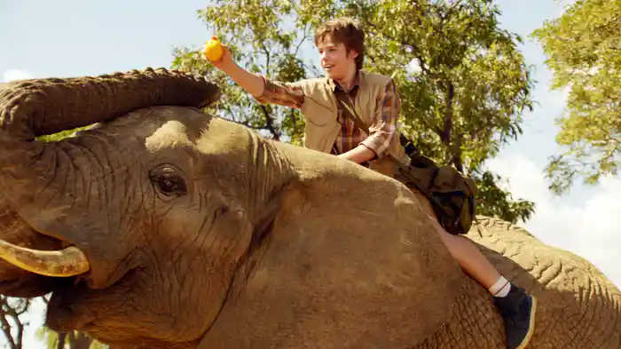 アゲインスト・ザ・ワイルド　ゾウとの遭遇