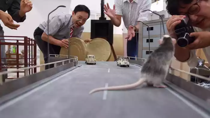 ネズラ1964