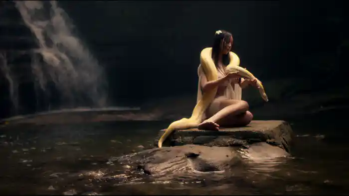 ヴァージンフォレスト 愛欲の奴隷