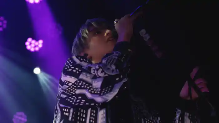 緋寒桜 (れん ONEMAN LIVE TOUR 2023 -20-)