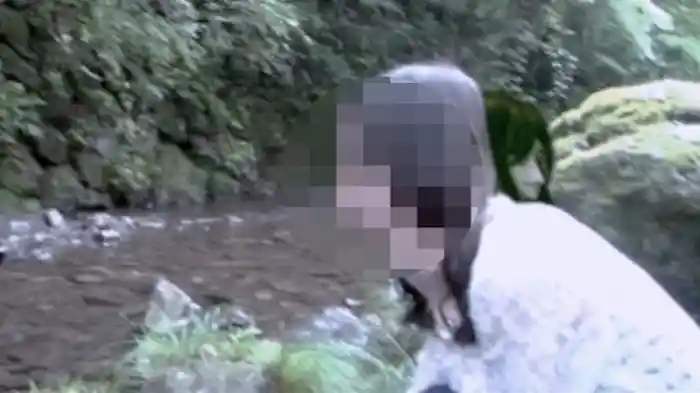 封印動画-警告-