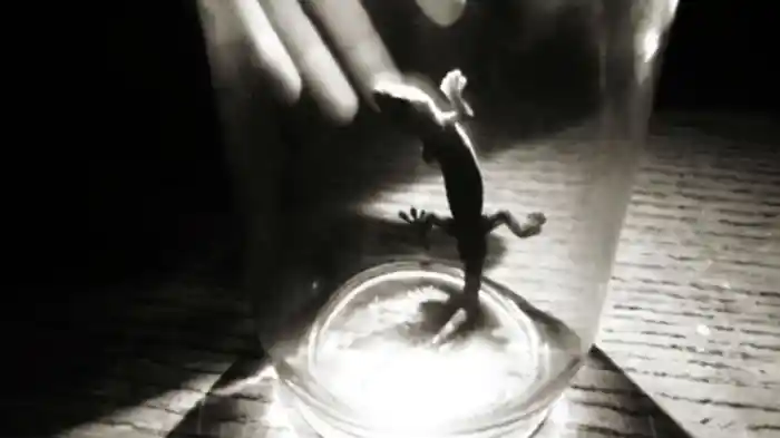 フォークの裏面