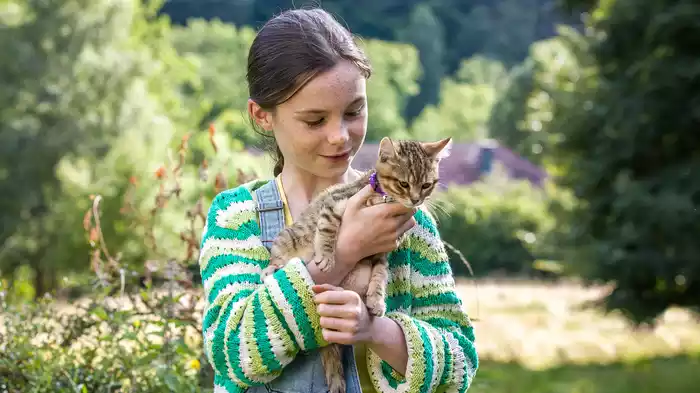 ルー、パリで生まれた猫