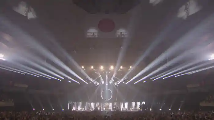 DVD800 20th ANNIVERSARY FINALモンパチハタチ at 日本武道館