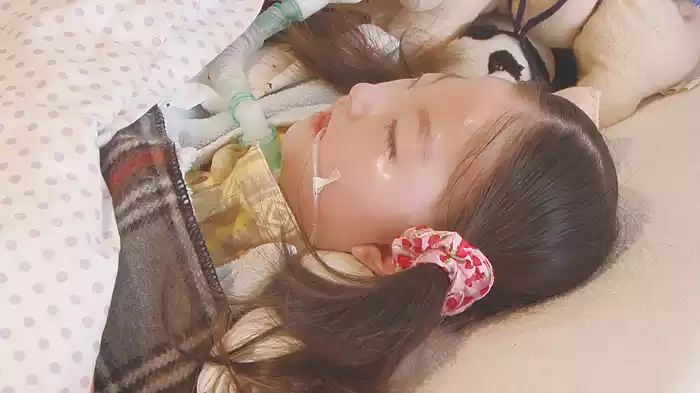 帆花