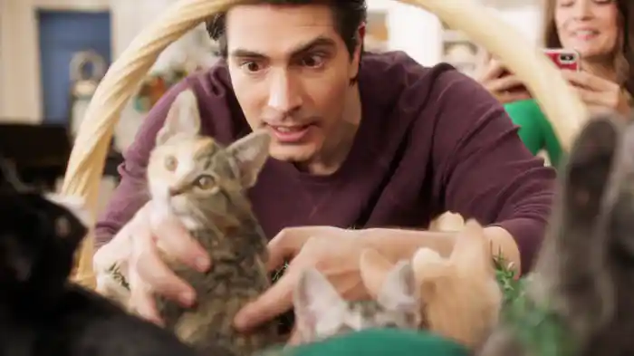 ネコと元カレとロマンス