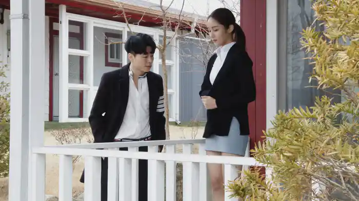 美人家政婦