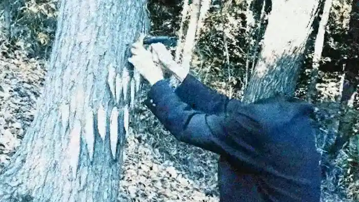 配信できない 警告動画