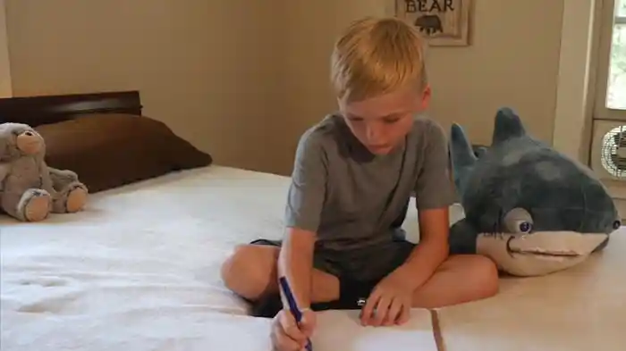 トイ・シャーク