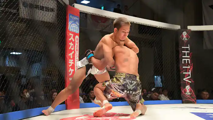 DEEP 116 IMPACT