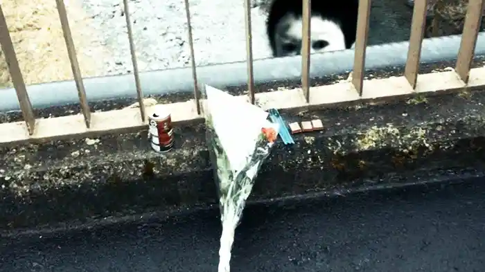 本当にあった 闇裏動画 5