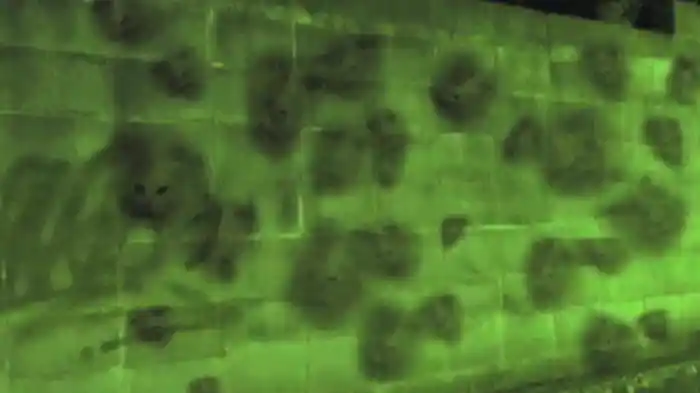 放送デキナイ 死ノ動画 9