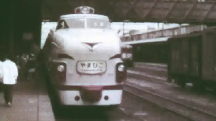 よみがえる昭和の列車たち3 国鉄篇3