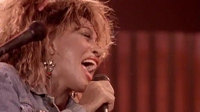 ティナ・ターナー：ヴィデオ・キルド・ザ・ラジオ・スター