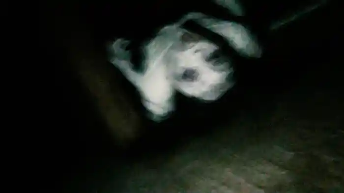 放送禁止！問題の心霊映像 ３