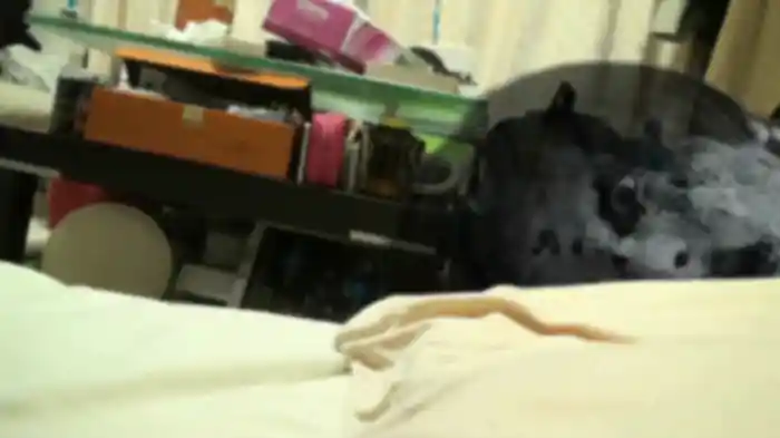 配信できない 警告動画 7