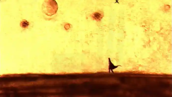 砂漠に咲いた花