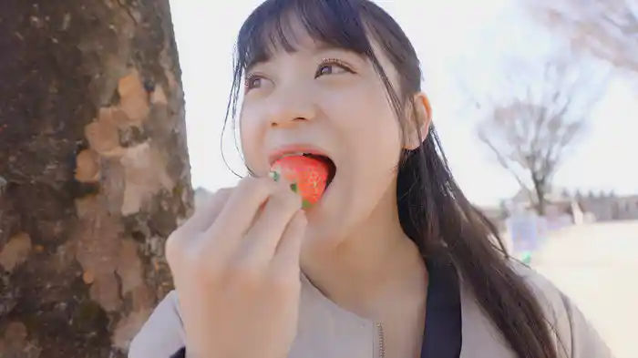 道の駅へ行こう! シーズン2