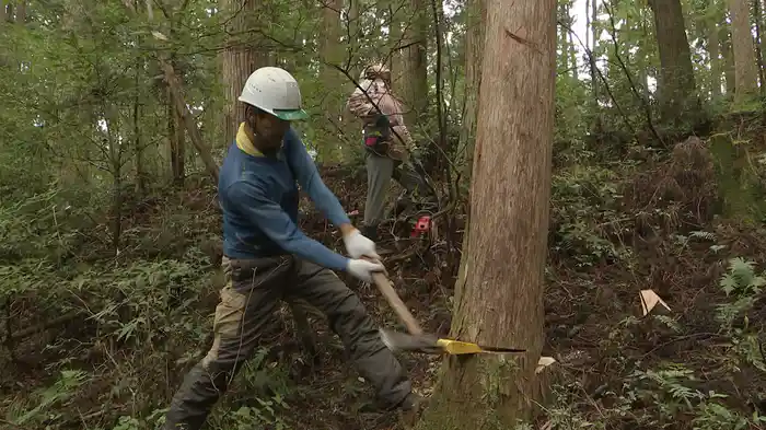 サステナ・フォレスト ~森の国の守り人たち~