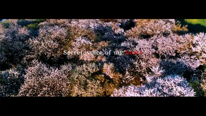 Secret, voice of my heart