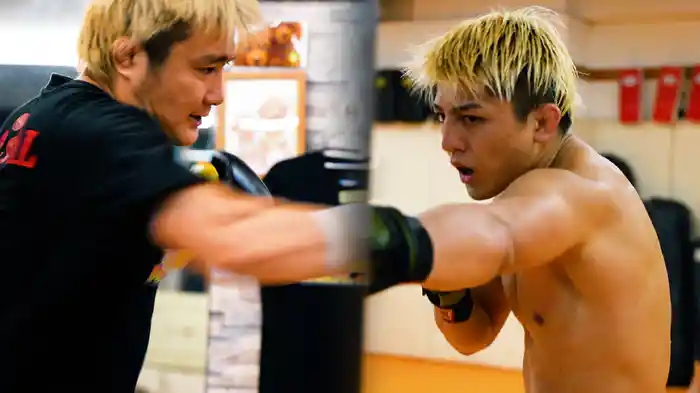 THE KNOCK OUT FIGHTER