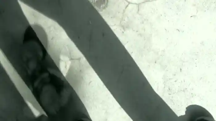 怨霊映像　害篇