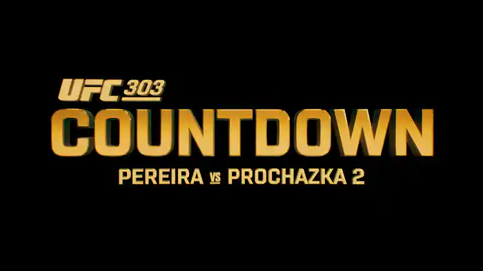 UFC カウントダウン 303 ペレイラ vs. プロハースカ2