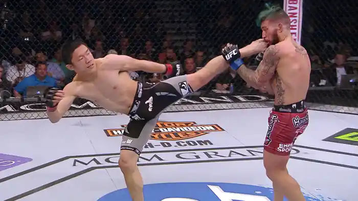 堀口恭司 vs ルイス・ゴーディノ