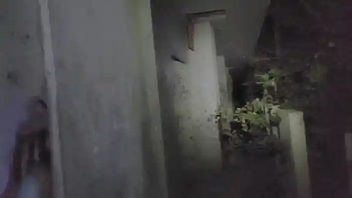 令和呪霊 呪われた時代の投稿心霊映像20本