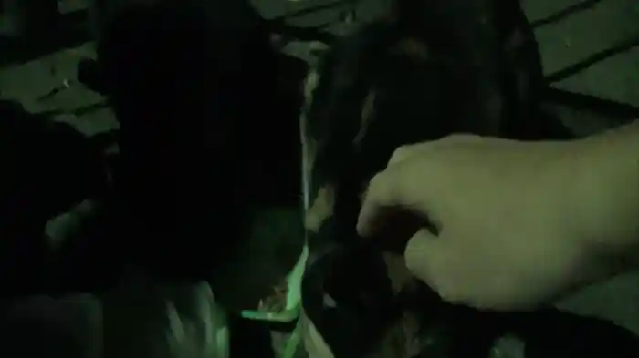 絶対恐怖 心霊動画2