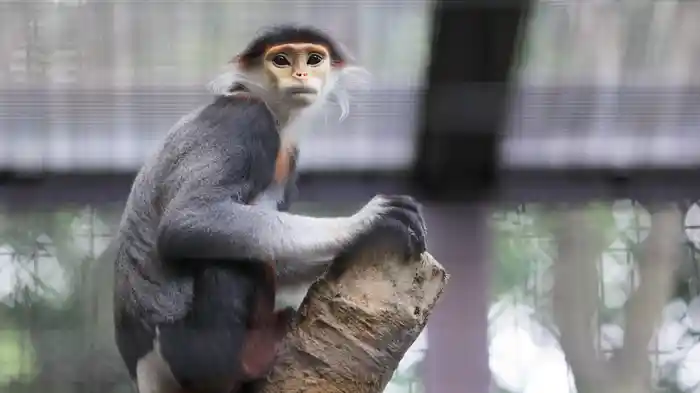 よこはま動物園ズーラシアの世界