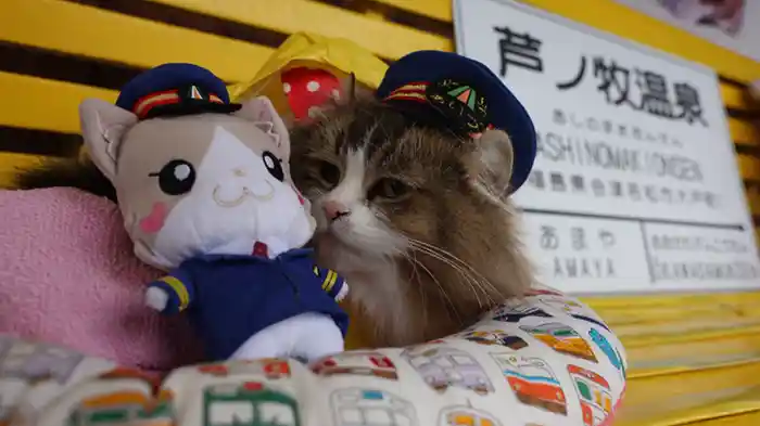 ふにゃ〜り日和