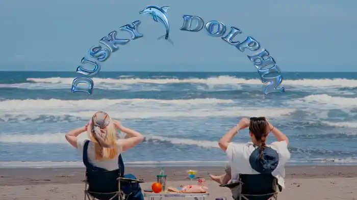 Dusky dolphin