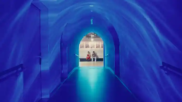 By The End Of Summer