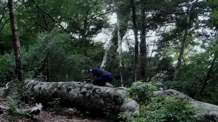 So this is what it feels like....