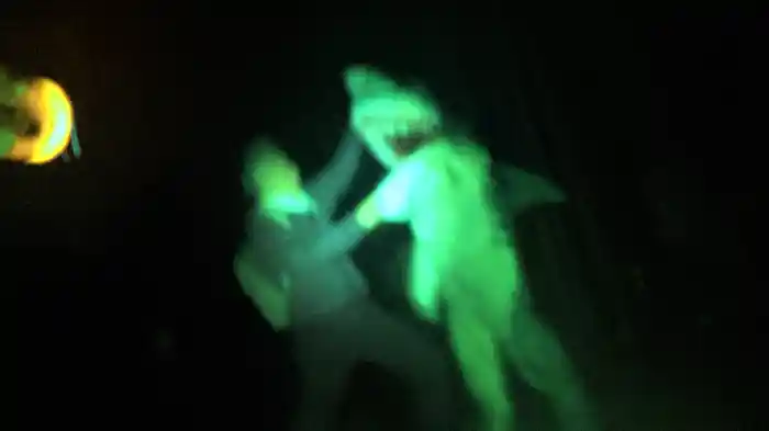 ラブ・シャーク 心霊調査ビッグサマー