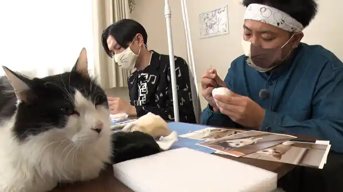ねこ自慢