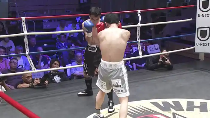 WHO’S NEXT DYNAMIC GLOVE BOXING vol.19