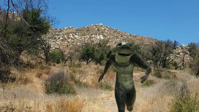 スペース・シャーク