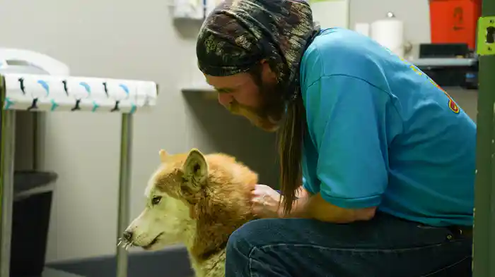 デンバー動物クリニック シーズン6