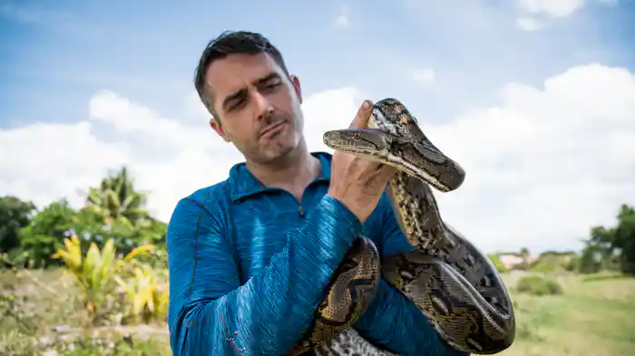 人喰いニシキヘビの恐怖